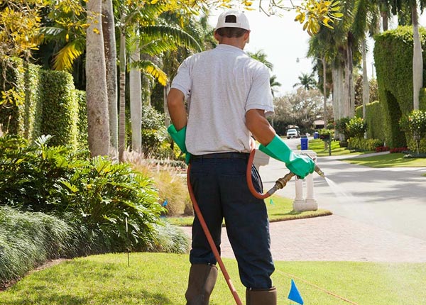 About Tower City PA Pest Control